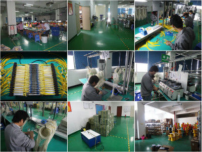Shenzhen Wangtong Industry Company Limited