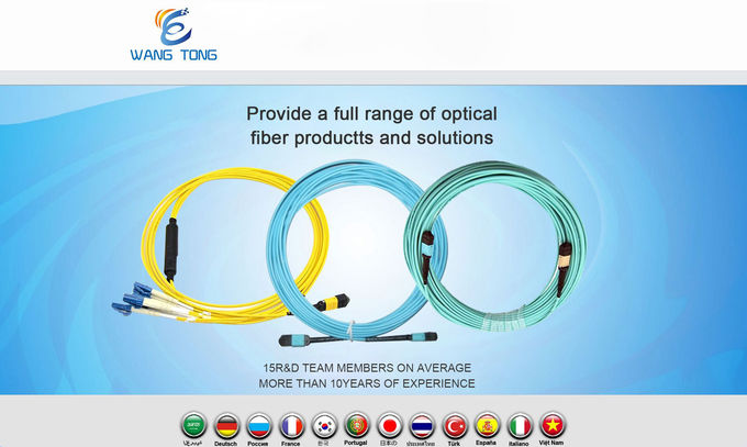 Ενότητα 12 σκοινιού μπαλωμάτων οπτικών ινών MPO πολλαπλού τρόπου 50/125 OM3 OM4 LGX κιβώτιο πυρήνων