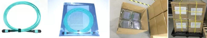 Ενότητα 12 σκοινιού μπαλωμάτων οπτικών ινών MPO πολλαπλού τρόπου 50/125 OM3 OM4 LGX κιβώτιο πυρήνων